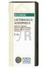 Lacto 10 (Lactobacillus Acidophilus) 25 Gr.E-36