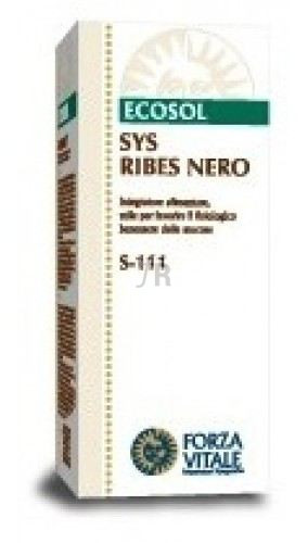 Ext. Ribes Nigrum (Grosellero Negro) 50 Ml.