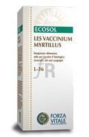 Les Vaccinium Myrtillus Arandano Negro 50 Ml.