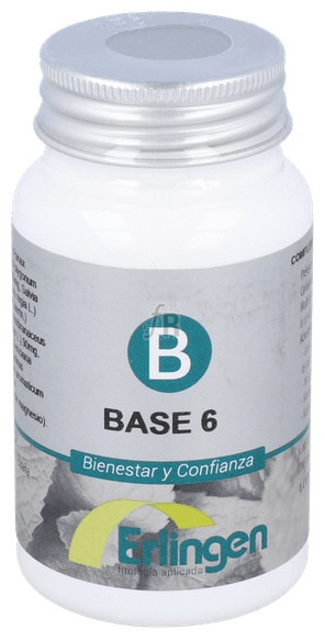 Base-6 60 Comprimidos Erlingen