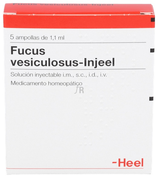 Fucus vesiculosus-Injeel 5 ampollas 1,1 ml