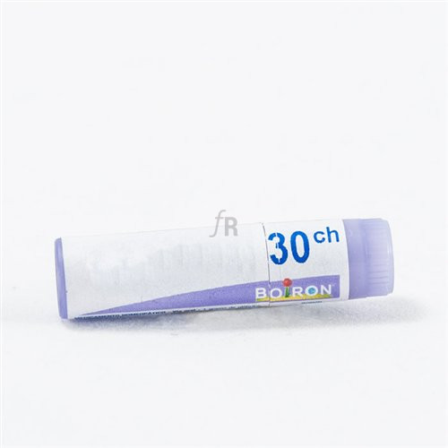 Pollantinum Monodosis Boiron