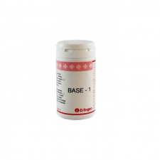 Base-10 60 Comprimidos Erlingen - Erlingen