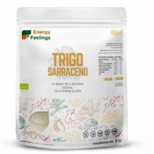 Energy Feelings Trigo Sarraceno Harina 1Kg. Eco