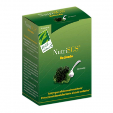 Nutrisgs 60 Cápsulas Gastrorresistentes