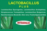 Lactobacillus Plus 60 Cap.  - Integralia