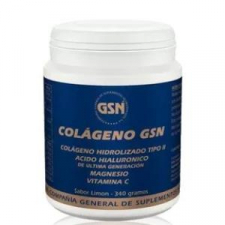 Colageno Gsn Con Acido Hialuronico Naranja 340Gr.