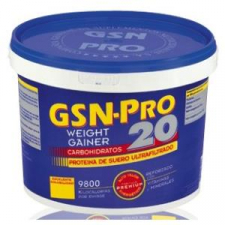 G.S.N. Gsn-Pro 20 Sabor Vainilla 2,5 Kg