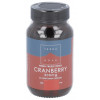 Arándano rojo 300 mg (Vaccinium macrocarpon) 50 Cápsulas Terranova